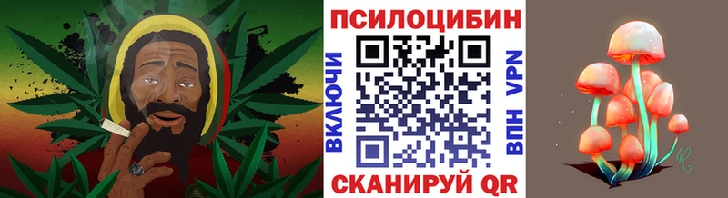 купить наркотики цена  Сковородино  Галлюциногенные грибы мухоморы 